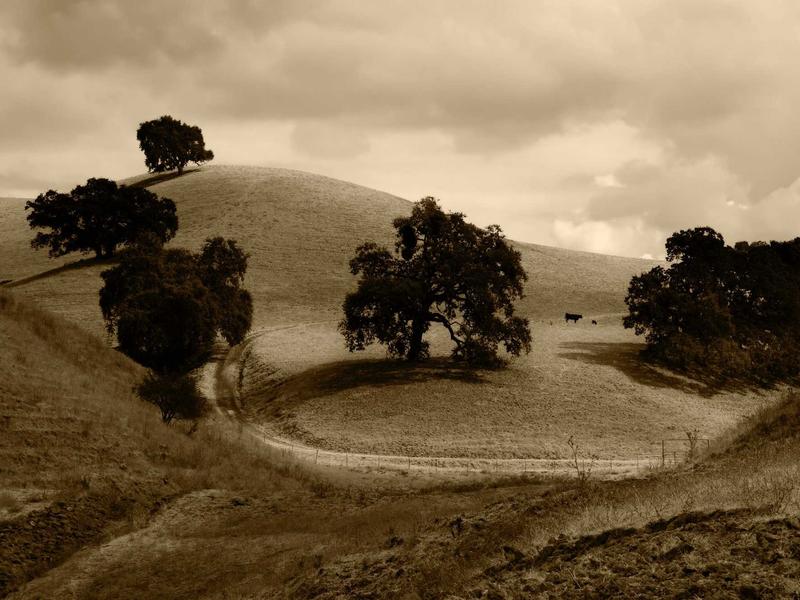 sudoku logical deduction